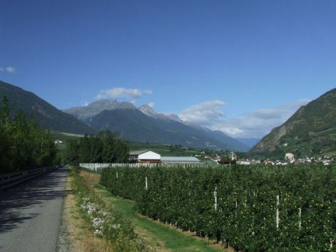 cycle_path_in_vinschgau.jpg