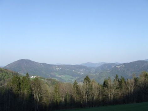 ebenwald2.jpg