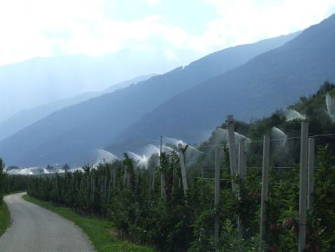 vinschgau_apple-watering.jpg